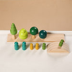 Wooden Montessori Toys