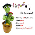 Dancing/Singing Cactus