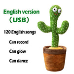 Dancing/Singing Cactus