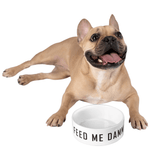 dog bowls for small dogs